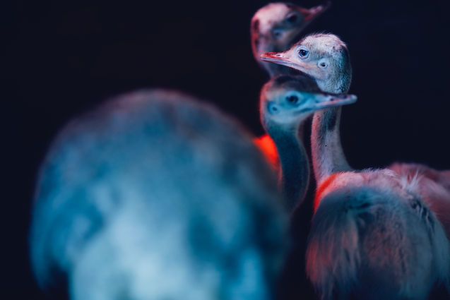 Image by Jenny Hill
