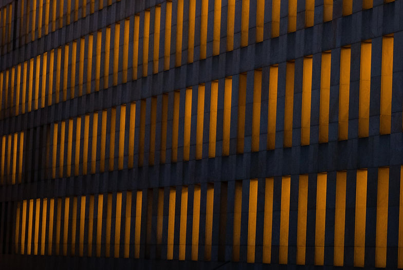 Image by Jakob Braun