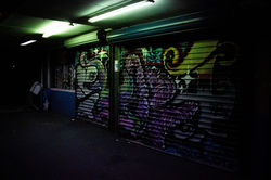 Image by Zane Lee