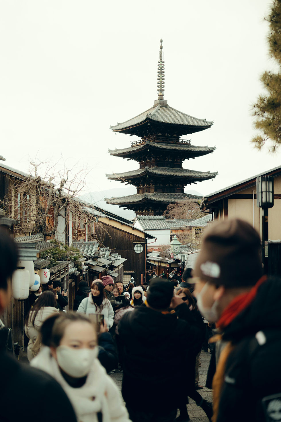 Image by Kevin Wang