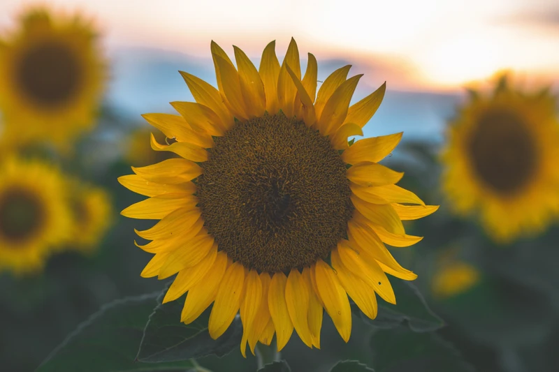 Self-expression through creative writing. Learn new methods to hone creative flow. Hands of Light by Rosemary NJ
