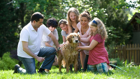 Les membres de la famille en polonais