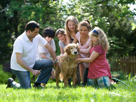 How GLP-1 Weight Loss Medications Are Reshaping Family Health at Home