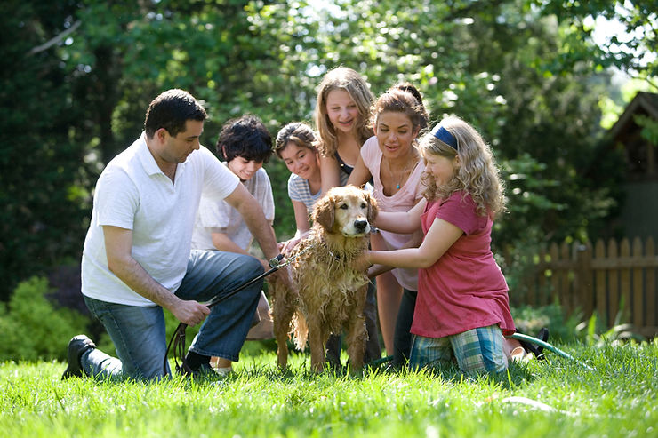 Happy family giving a golden retriever a bath. Life Insurance