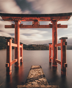 Image by Tianshu Liu