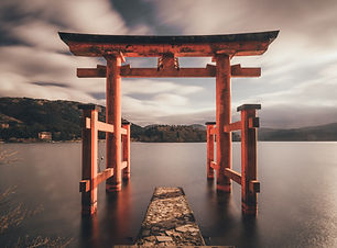 Image by Tianshu Liu
