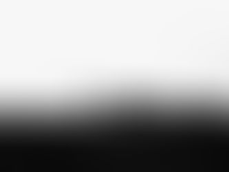 Tragödie auf der Weide: Pferde vergiftet – Besitzerin appelliert an die Öffentlichkeit