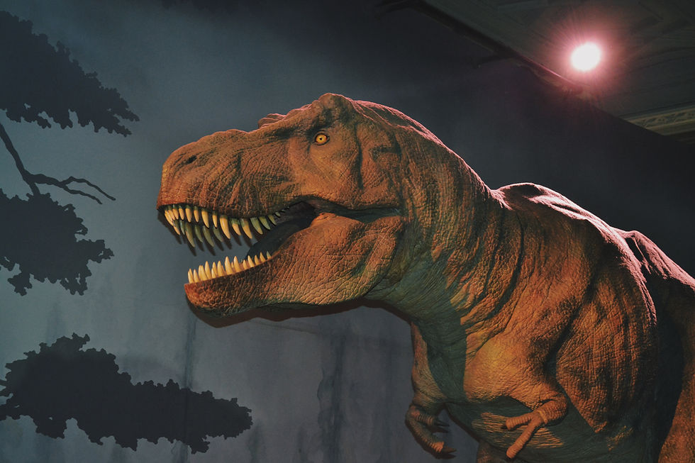 Dino Camp