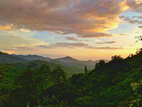 #Priradiotv Resumen de noticias