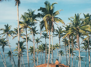 Image by Oliver Sjöström