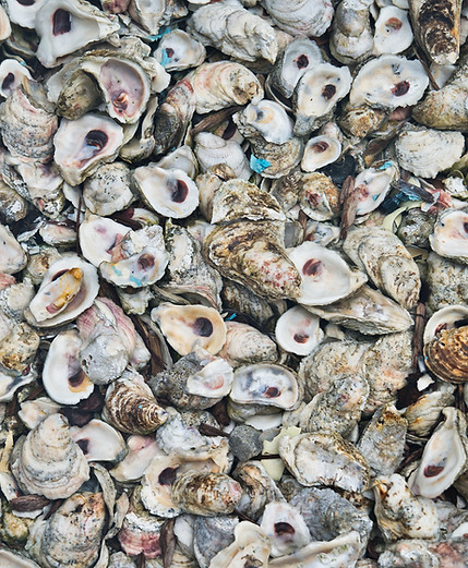 Image by Clint Patterson