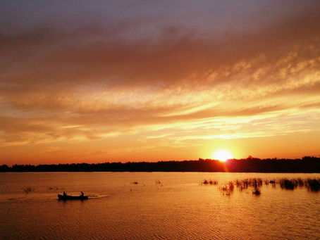 عجوزٌ مجففة