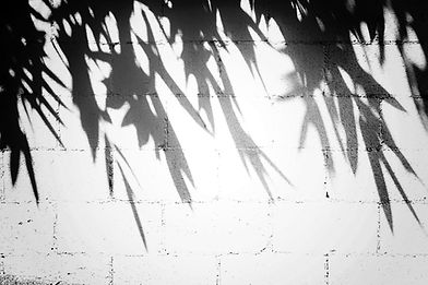 Image by Tim Mossholder