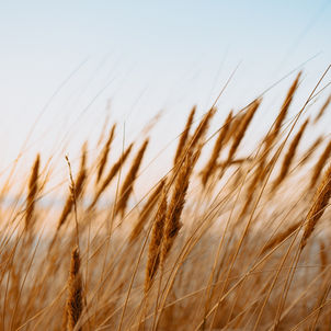 Allez rire aux endroits où vous avez pleuré. Changez l'histoire