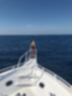 Image by Viespire
