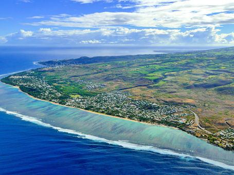 Réunion Island Shark Attacks (2026 Report)