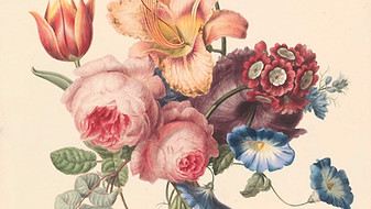 Image by Europeana