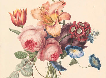 Image by Europeana