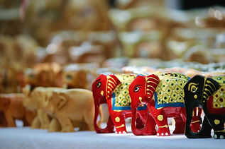 Image by Balaji Malliswamy