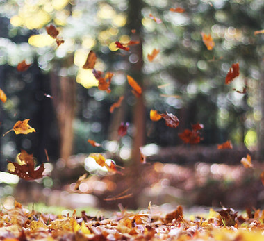 Image by Autumn Mott Rodeheaver