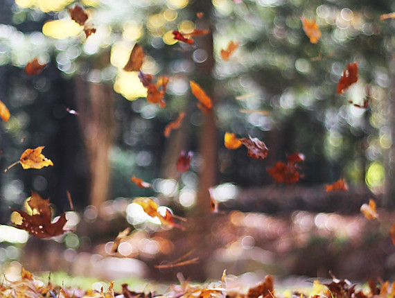 Image by Autumn Mott Rodeheaver