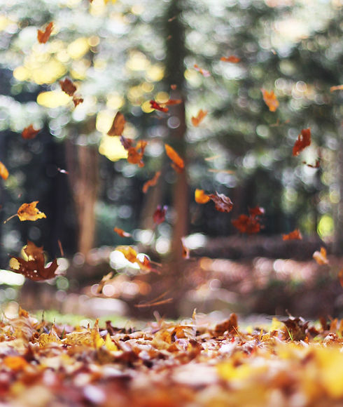 Image by Autumn Mott Rodeheaver