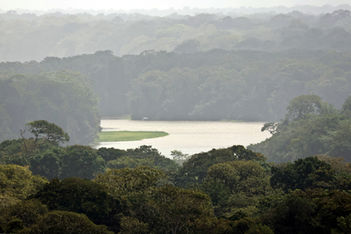 Vista aerea di un tranquillo lago tra fitte foreste tropicali in Costa Rica