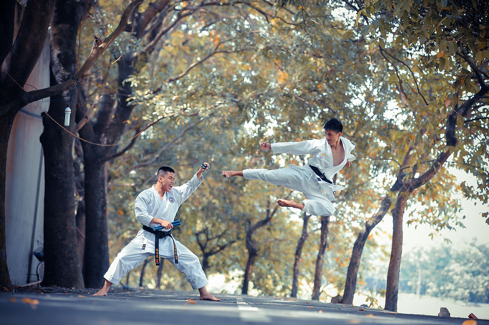 Image by Thao LEE