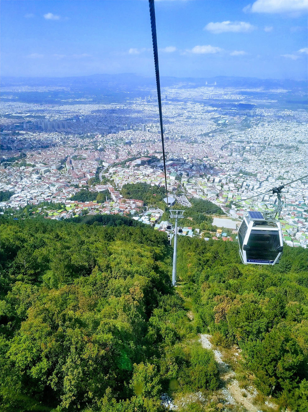 Green Bursa