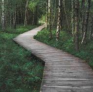 Image by Daniel Seßler