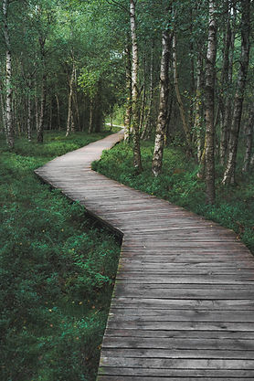 Image by Daniel Seßler