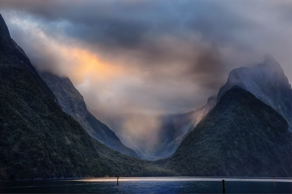 Image by Peter Hammer