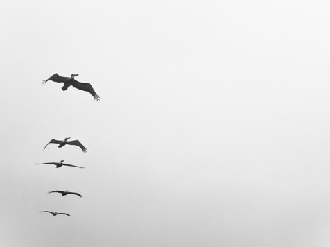 Image by Robin Spielmann