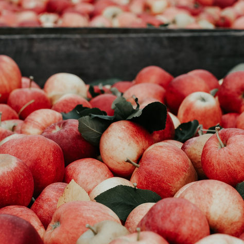 Clarifruit Raises $12M to reduce $900B annual waste in the Fruit and Vegetable Industry