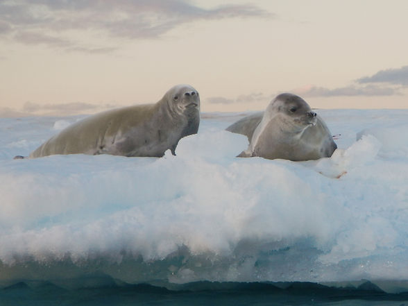 Image by Torsten Dederichs
