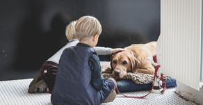 What kids really need during the quarantine
