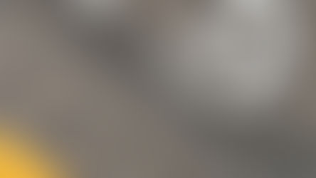 Historic Route 66 Stories Preserved in Springfield