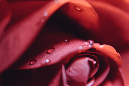 Image by Tj Holowaychuk