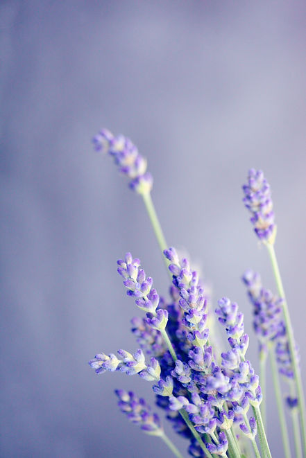 Image by Sharon McCutcheon