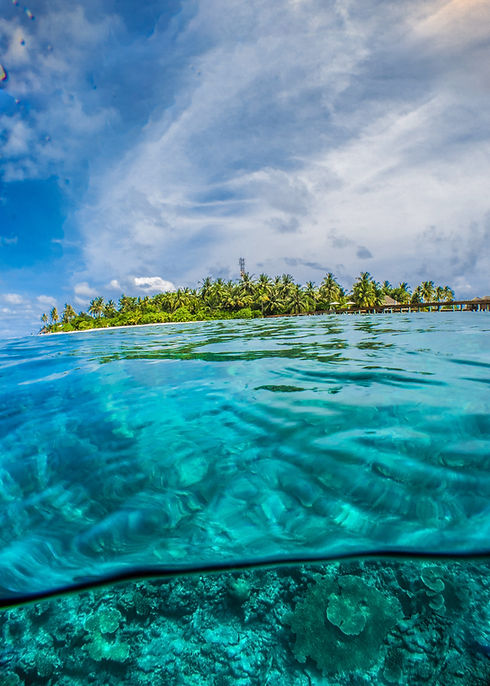 Image by Sebastian Pena Lambarri