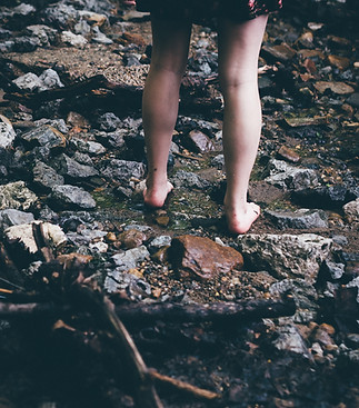 Image by Jordan Whitt