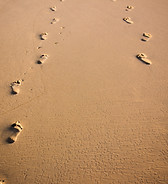 Sandy toes