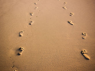 One Set of Footprints: What It Means for God to Carry You Through Suffering