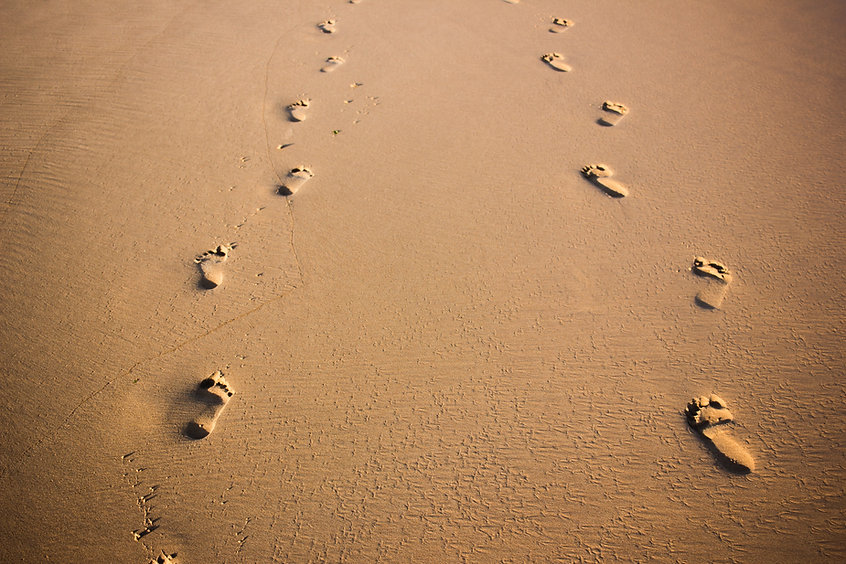 Image by Felipe Correia