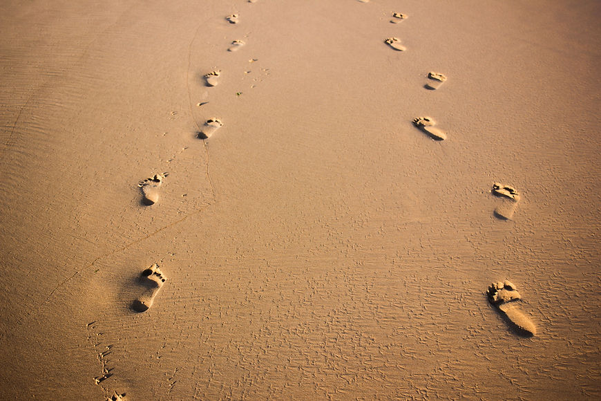 Image by Felipe Correia