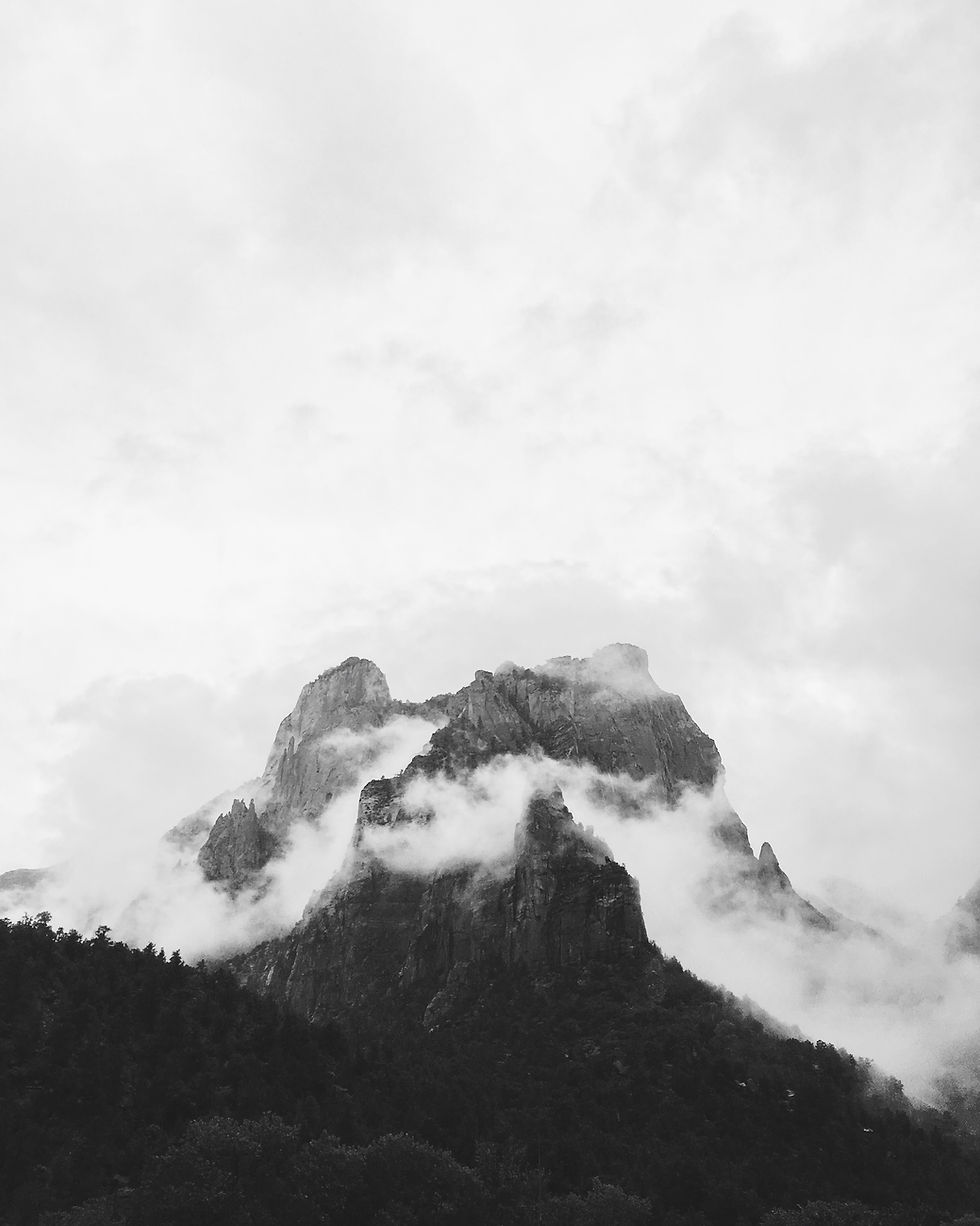 Image by Matej Rieciciar