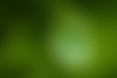 8月からのクラス開催について