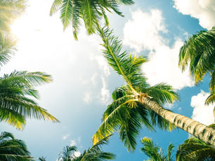 Jimmy Buffet will not be Forgotten in the British Virgin Islands 