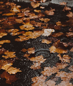 Image by Mitchell McCleary