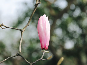 Parish Newsletter 14th December 2025